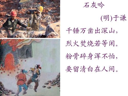 萌仙蜜语手游果盘版下载